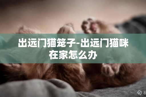 出遠門貓籠子-出遠門貓咪在家怎么辦