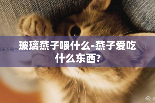 玻璃燕子喂什么-燕子愛吃什么東西?