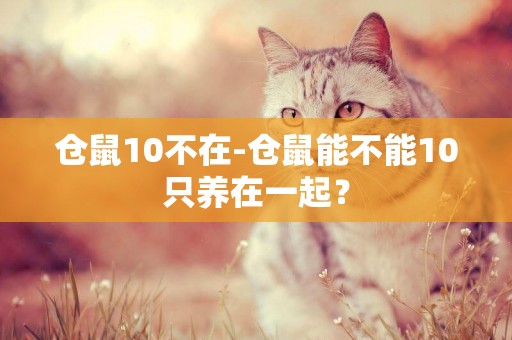 倉鼠10不在-倉鼠能不能10只養在一起？
