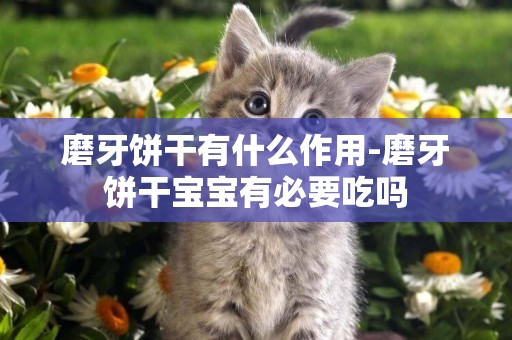 磨牙餅干有什么作用-磨牙餅干寶寶有必要吃嗎