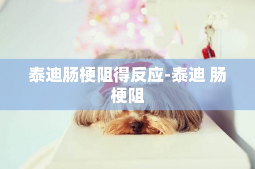 泰迪腸梗阻得反應-泰迪 腸梗阻