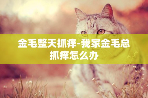 金毛整天抓癢-我家金毛總抓癢怎么辦