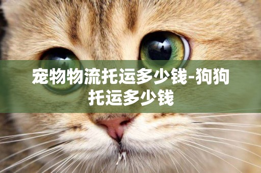 寵物物流托運多少錢-狗狗托運多少錢
