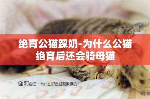絕育公貓踩奶-為什么公貓絕育后還會騎母貓