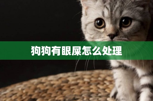 狗狗有眼屎怎么處理