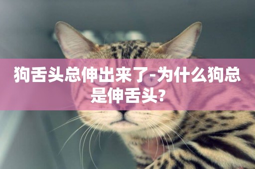 狗舌頭總伸出來了-為什么狗總是伸舌頭?