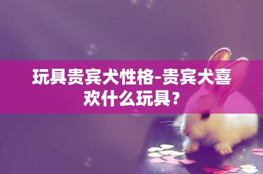 玩具貴賓犬性格-貴賓犬喜歡什么玩具？