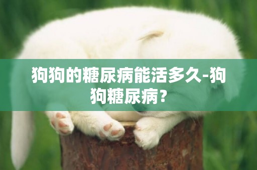 狗狗的糖尿病能活多久-狗狗糖尿病？