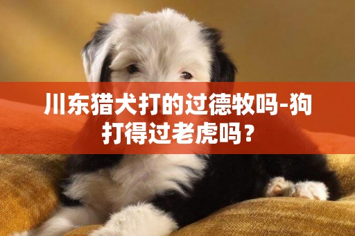 川東獵犬打的過德牧嗎-狗打得過老虎嗎？
