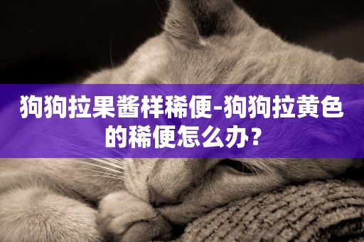 狗狗拉果醬樣稀便-狗狗拉黃色的稀便怎么辦？