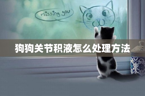 狗狗關節積液怎么處理方法