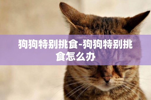 狗狗特別挑食-狗狗特別挑食怎么辦