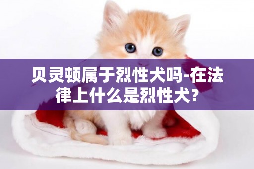 貝靈頓屬于烈性犬嗎-在法律上什么是烈性犬？