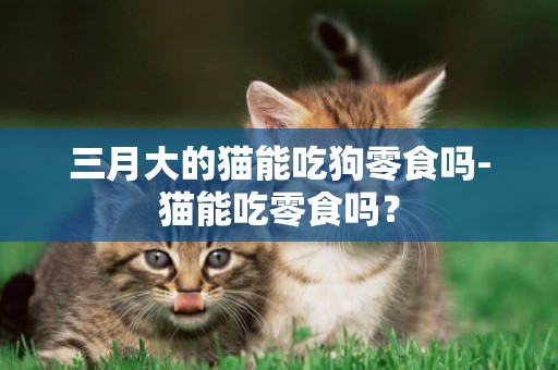 三月大的貓能吃狗零食嗎-貓能吃零食嗎？