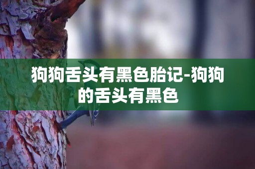 狗狗舌頭有黑色胎記-狗狗的舌頭有黑色