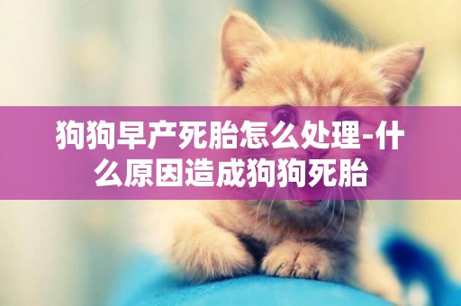 狗狗早產死胎怎么處理-什么原因造成狗狗死胎