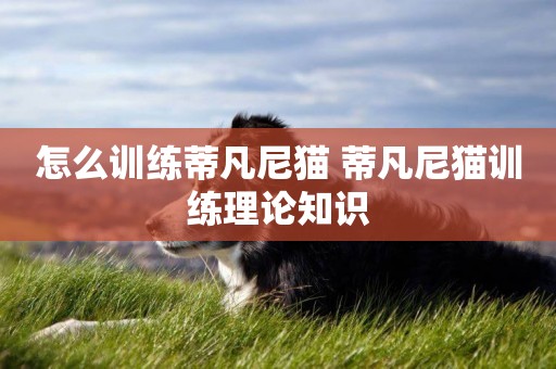 怎么訓練蒂凡尼貓 蒂凡尼貓訓練理論知識