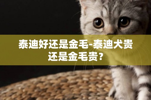 泰迪好還是金毛-泰迪犬貴還是金毛貴？