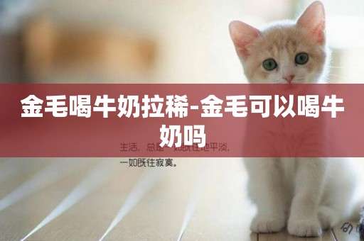 金毛喝牛奶拉稀-金毛可以喝牛奶嗎