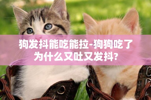 狗發抖能吃能拉-狗狗吃了為什么又吐又發抖?