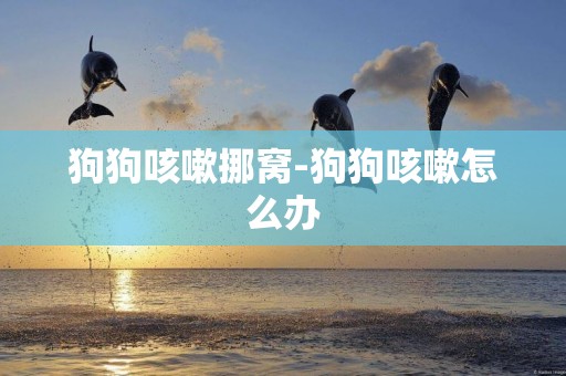 狗狗咳嗽挪窩-狗狗咳嗽怎么辦