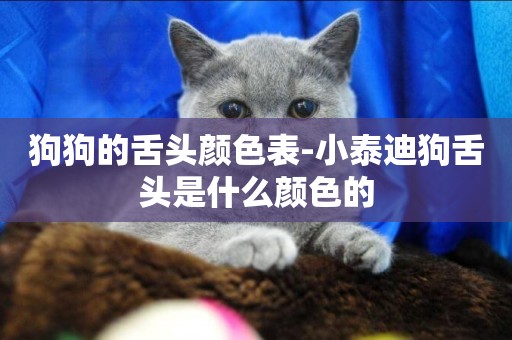 狗狗的舌頭顏色表-小泰迪狗舌頭是什么顏色的