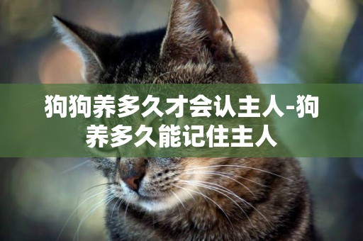 狗狗養多久才會認主人-狗養多久能記住主人