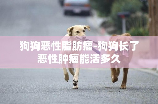 狗狗惡性脂肪瘤-狗狗長了惡性腫瘤能活多久
