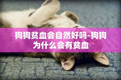 狗狗貧血會自然好嗎-狗狗為什么會有貧血
