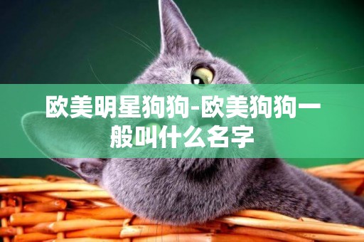 歐美明星狗狗-歐美狗狗一般叫什么名字