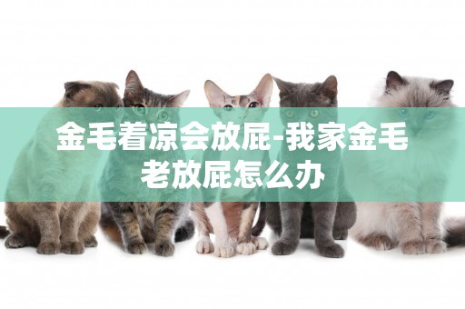 金毛著涼會放屁-我家金毛老放屁怎么辦