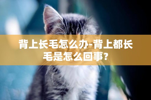 背上長毛怎么辦-背上都長毛是怎么回事？