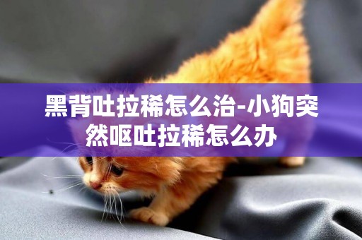 黑背吐拉稀怎么治-小狗突然嘔吐拉稀怎么辦