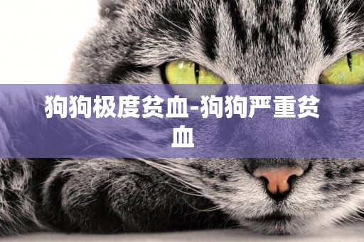 狗狗極度貧血-狗狗嚴重貧血