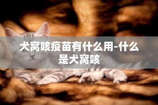 犬窩咳疫苗有什么用-什么是犬窩咳