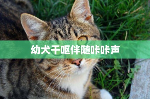 幼犬干嘔伴隨咔咔聲