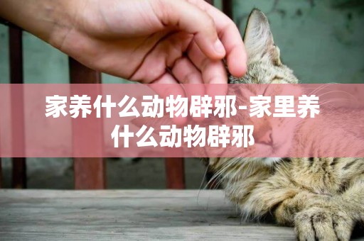 家養什么動物辟邪-家里養什么動物辟邪