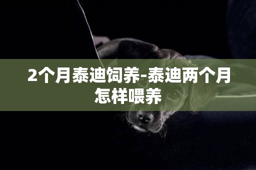2個月泰迪飼養-泰迪兩個月怎樣喂養
