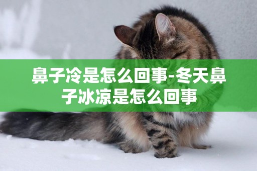 鼻子冷是怎么回事-冬天鼻子冰涼是怎么回事