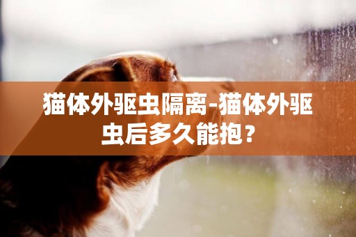 貓體外驅蟲隔離-貓體外驅蟲后多久能抱？