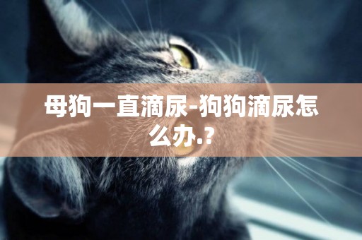 母狗一直滴尿-狗狗滴尿怎么辦.?