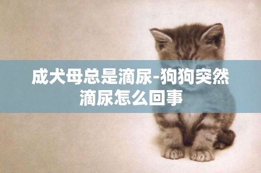 成犬母總是滴尿-狗狗突然滴尿怎么回事