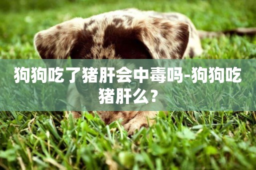 狗狗吃了豬肝會中毒嗎-狗狗吃豬肝么？