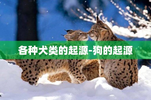 各種犬類的起源-狗的起源