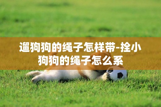 遛狗狗的繩子怎樣帶-拴小狗狗的繩子怎么系