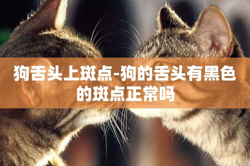 狗舌頭上斑點-狗的舌頭有黑色的斑點正常嗎