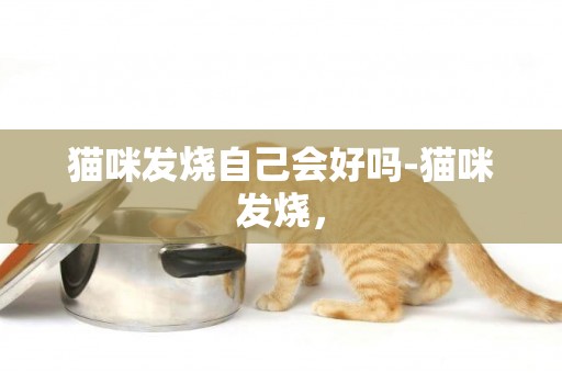 貓咪發燒自己會好嗎-貓咪發燒，