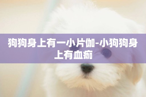 狗狗身上有一小片伽-小狗狗身上有血痂