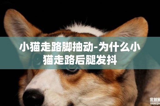 小貓走路腳抽動-為什么小貓走路后腿發抖