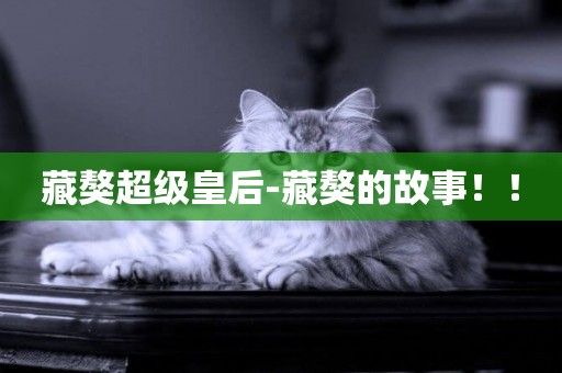 藏獒超級皇后-藏獒的故事！！
